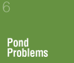 Pond Problems