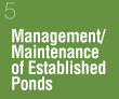 Management/Maintenace of Established Ponds