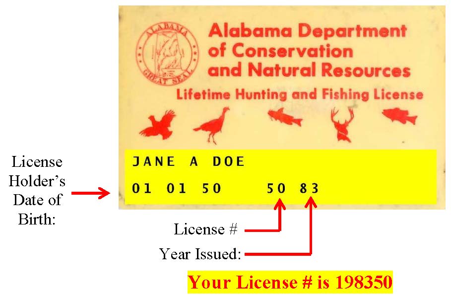 Lifetime 1983